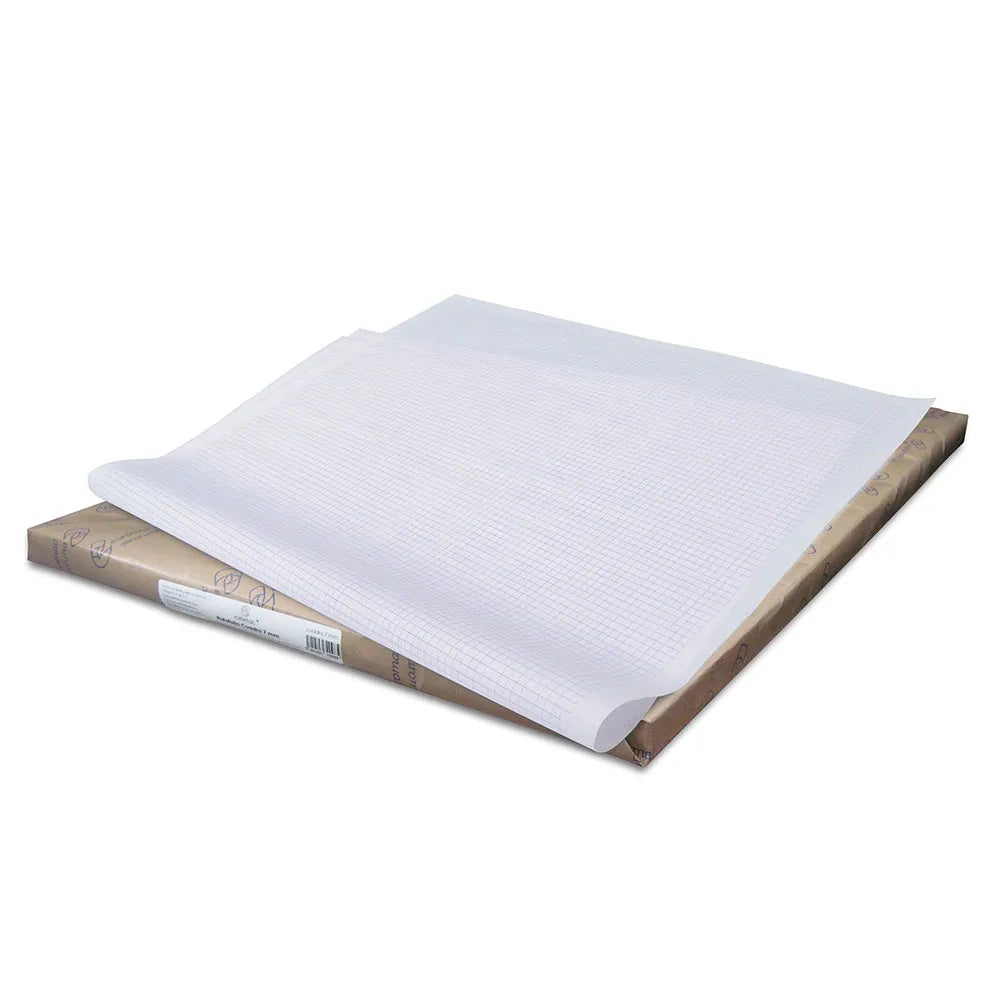 Papel Rotafolio C.7 Cuadro Grande C/25H 70 x 95 cm | Euromac RT0009