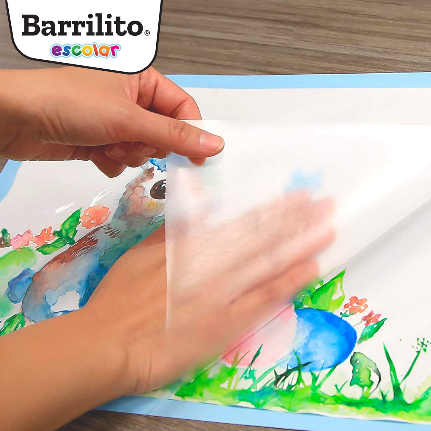 Película Autoadherible | Barrilito