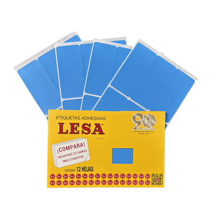 Etiqueta Adhesiva #19 (101 x 46 mm) 12 Hojas con 6 (72) | Lesa 2-519
