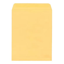 Sobre Bolsa Golden Kraft con Solapa Engomada Ministro 30.5 x 39.5 cm | Sobres B30GKS