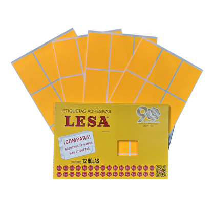 Etiqueta Adhesiva #13 (69 x 44 mm) 12 Hojas con 9 (108) | Lesa 2-513