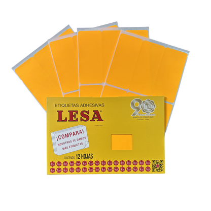 Etiqueta Adhesiva #19 (101 x 46 mm) 12 Hojas con 6 (72) | Lesa 2-519
