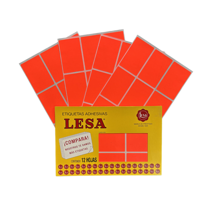 Etiqueta Adhesiva #13 (69 x 44 mm) 12 Hojas con 9 (108) | Lesa 2-513