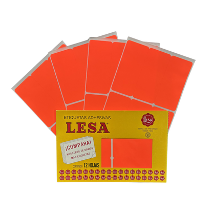 Etiqueta Adhesiva #19 (101 x 46 mm) 12 Hojas con 6 (72) | Lesa 2-519