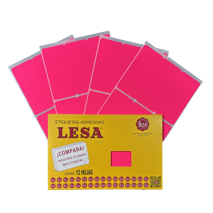 Etiqueta Adhesiva #19 (101 x 46 mm) 12 Hojas con 6 (72) | Lesa 2-519
